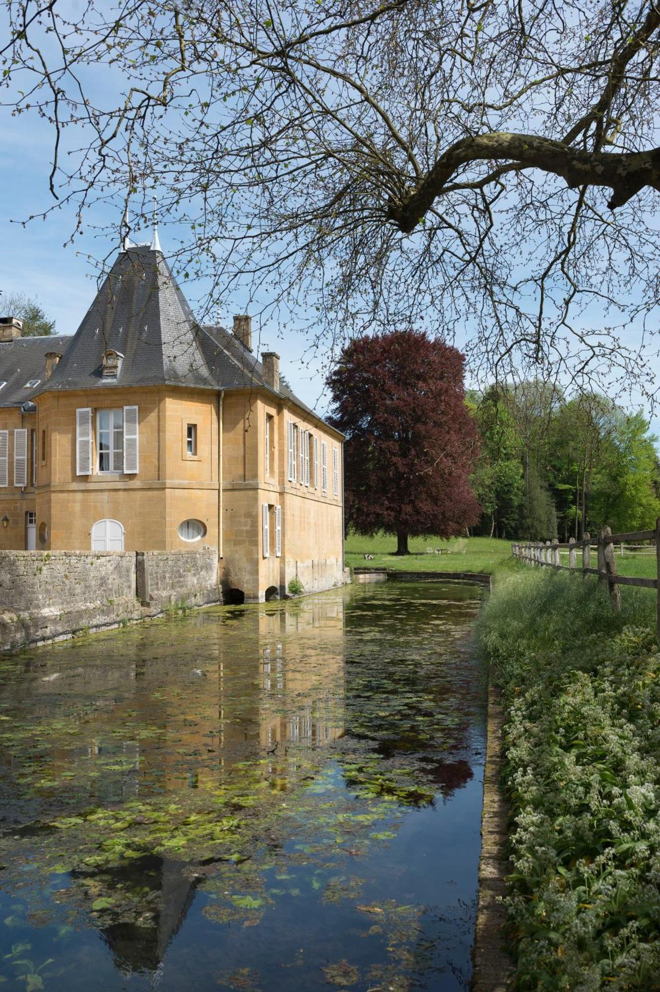 Chateau De Martigny Bed & Breakfast Colmey Екстериор снимка